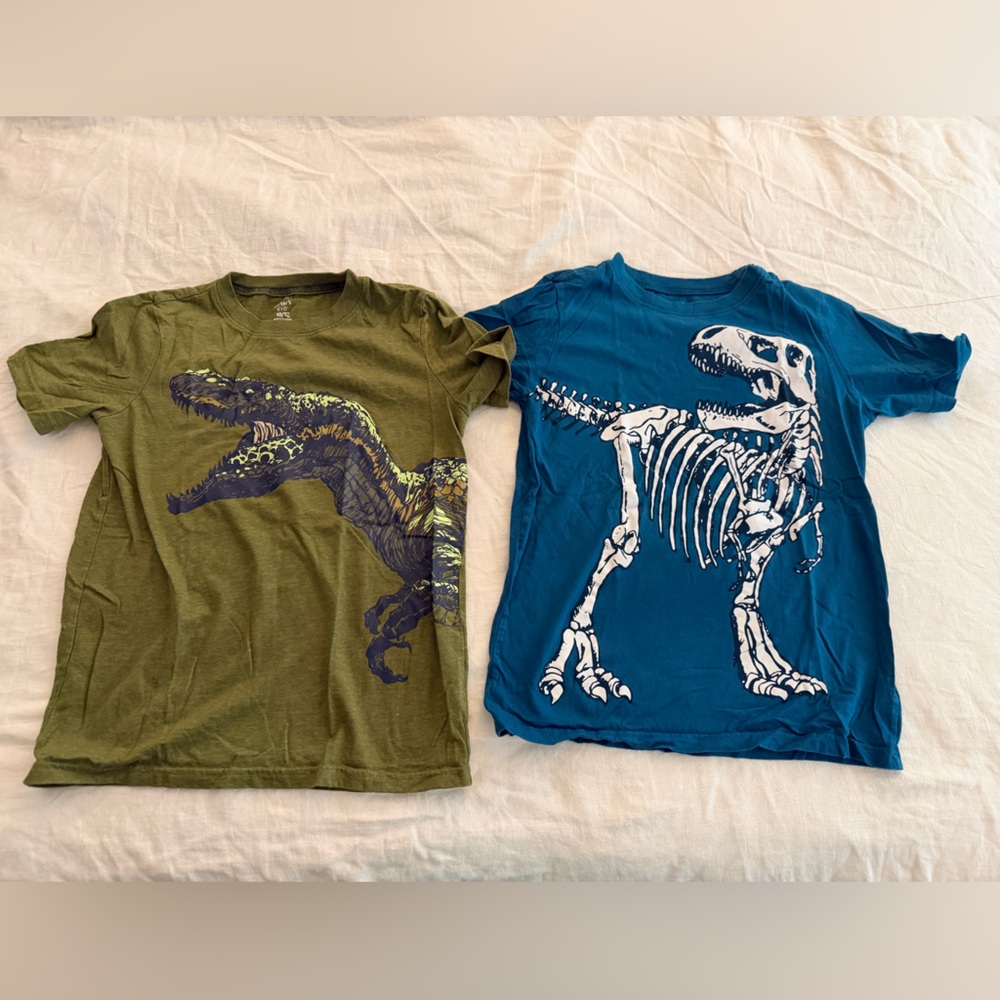 (2) Carter’s boys dinosaur short sleeve shirt bundle
Size 10/12